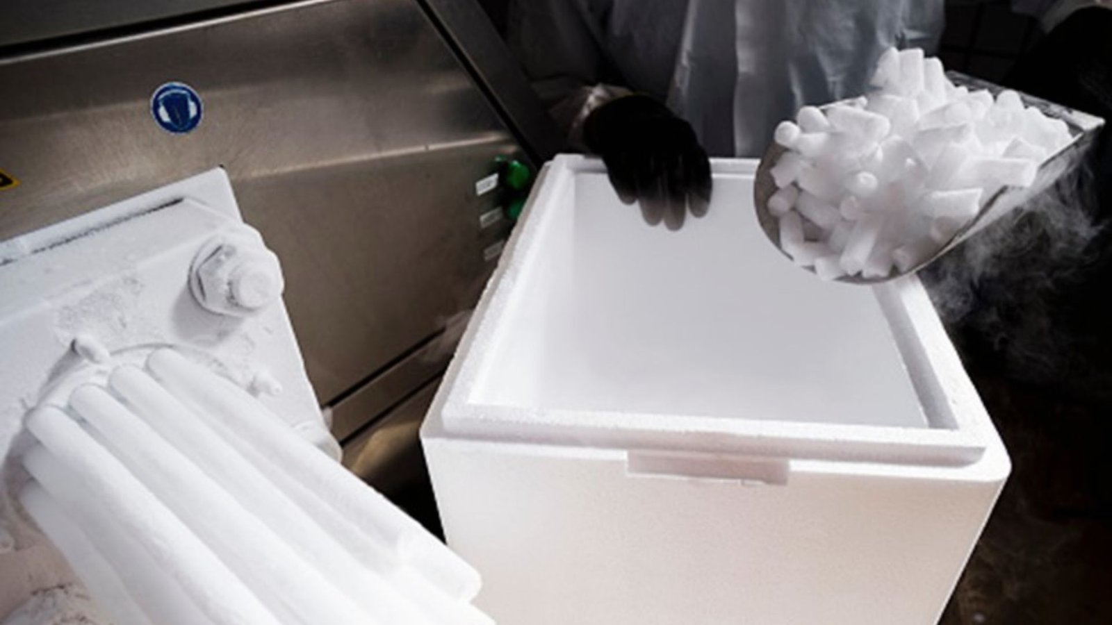 Gloved hand scooping dry ice pellets from a machine into a styrofoam shipping box.